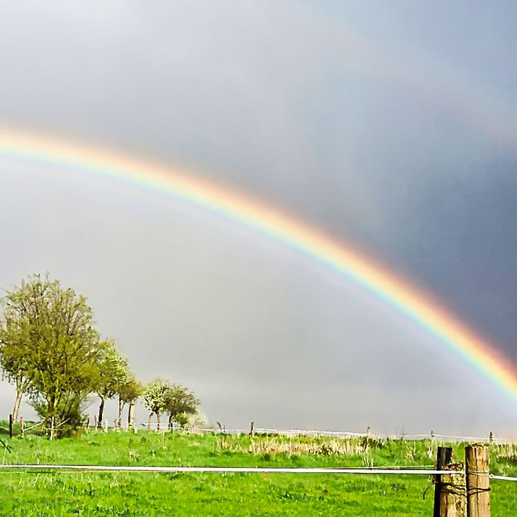 Regenbogen