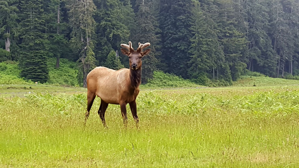 Natur und Augenblicke